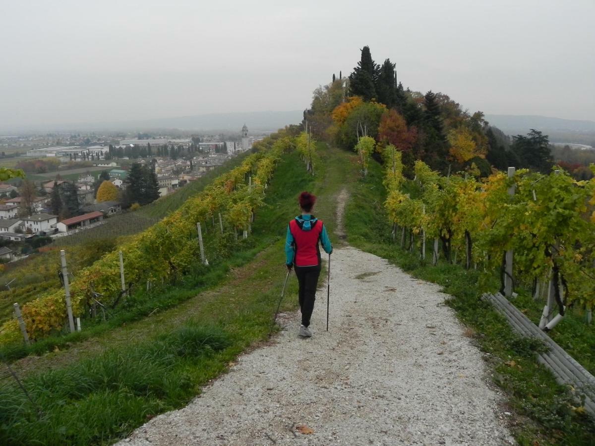 Da Meri Tra Le Colline Del Prosecco Docg Locazione Turistica Farra di Soligo Buitenkant foto
